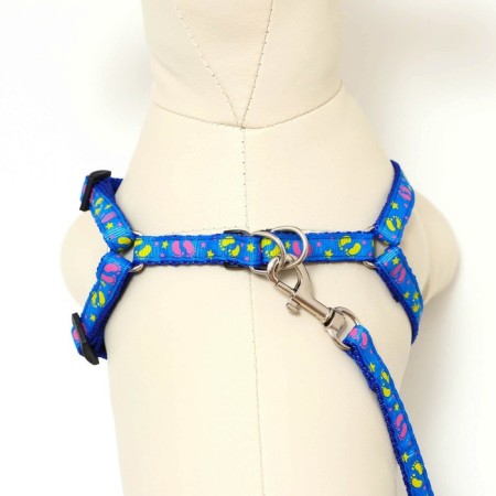 Set "Color Transes", leash 120 x 1 cm, fire 23-35 cm, blue-8