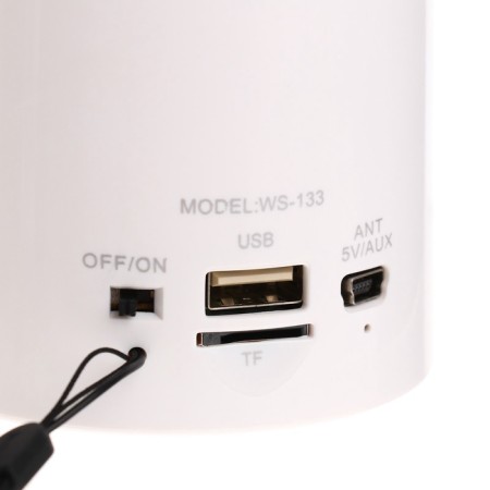 Portable column WS-133, 3 W, Microsd, FM, USB, White-4