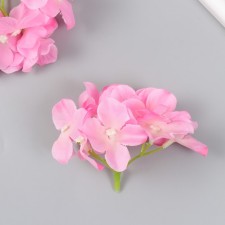 Flowers for decorating 