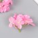 Flowers for decorating "hydrangea" pink 10x10 cm
