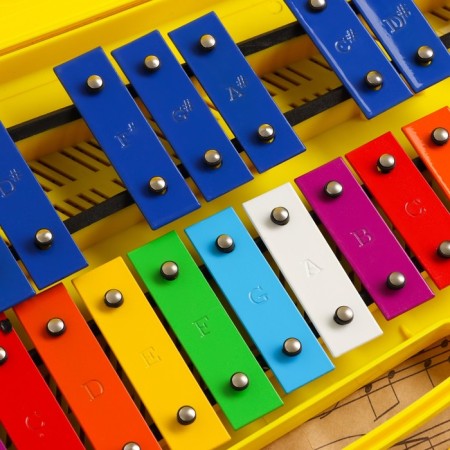 Musical tool Music Life, 25 tones, case, 2 sticks, yellow-2