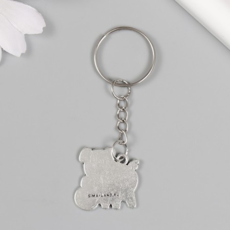 Front Metal "Picky with ruble" 2.4x2.5 cm-2