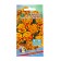 Flower seeds rejected by Jem Gapfruit. 0, 2 g