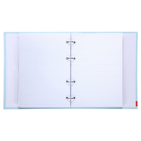 Notebook on rings, 160 sheets in the “Arbuziki” cage, hard cover, glossy lamination, with a change of block-1