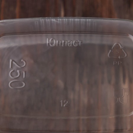 A disposable plastic container with a lid, 10 pcs, 250 ml, 10.8 × 8.2 × 4.6 cm, the color is transparent-3