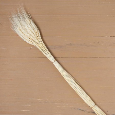 Dry Column of wheat, set 50 pcs., White color-3