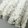 Decor for creativity "Ivan Tea" 1 bouquet = 10 white flowers 1.5x14 cm