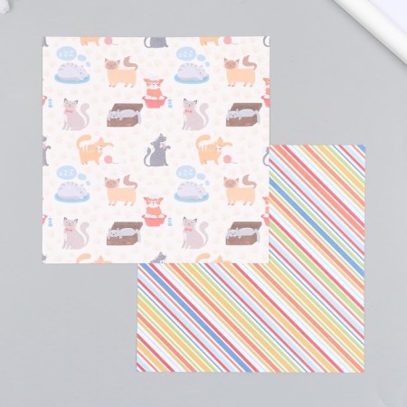 A set of scrapbooking paper 12 sheets 12 designs "Funny cats" 160 grams 15.2x15.2 cm-2