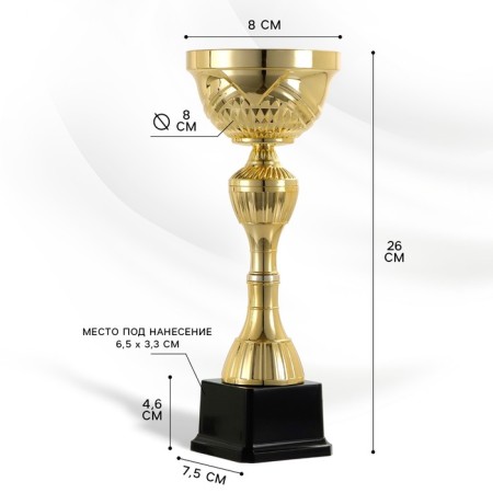 Cup 134D, award figure, gold, plastic stand, 26 × 8 × 7.5 cm.-1