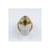 Aquasfera connector 9015-02, American, corner, 3/4 ", internal/outer, nickel. Brass