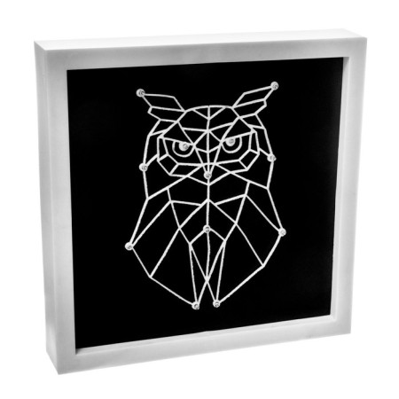 Light picture “Owl” LED USB from 3haa batteries 24.5x24.5x3.5 cm Risalux-9