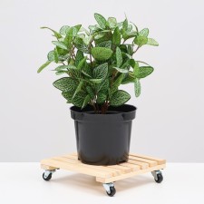 Wooden stand on wheels 25x25 cm