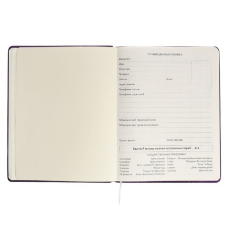 Universal diary for grade 1-11 Foxy, hard cover, artificial leather, foam rubber, lies, 80 g/m2-3