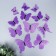 Magnet Plastic "Butterflies Double Wings - Shine" Violet set 12 pcs