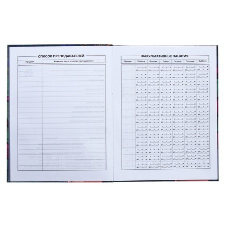 Universal Grade 1-11 Diary, 48 Graffiti sheets, integral cover, matte lamination, selective UV-fluid, congructor-5
