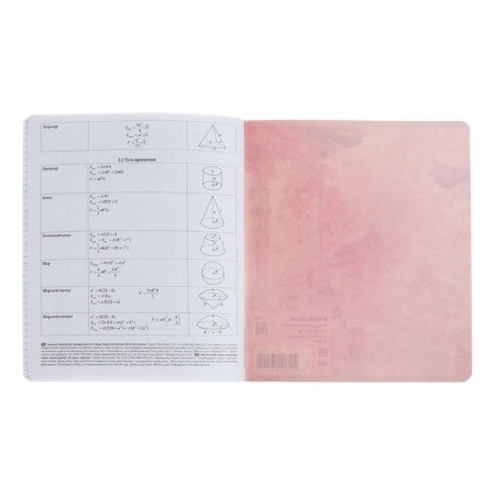 Subject notebook, 48 sheets, cell, geometry, erichkrause "manga", cardboard cover of twin-lax, unit offset white 100%, information block-6