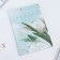 Funny book with A5, 80 L "Live Dream"