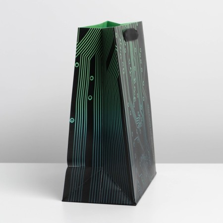 Package Gift Laminated Vertical, Packaging, "Micro", Ml 23 x 27 x 11.5 cm-2