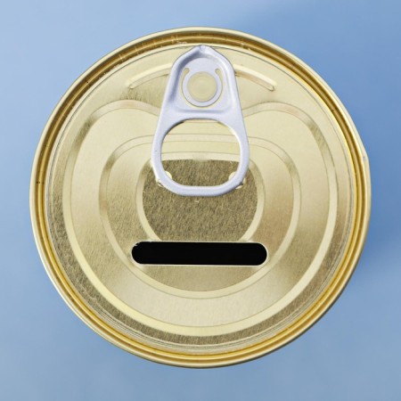 Pigger Bank Metal "Iron Coins"-3