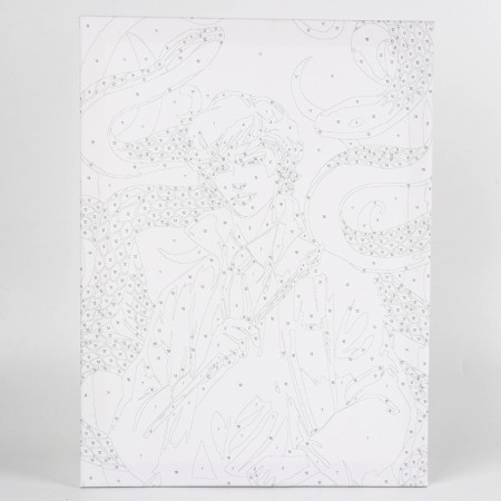 Picture on numbers on a canvas with a subframe "Magic and Snakes" 30*40 cm-4