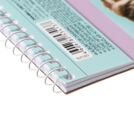 Album for drawing A4, 24 sheets on the crest "Assorted. Issort No. 3", covered cardboard, perforation, block 100 g/m2, mix-7