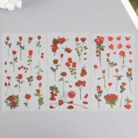 Plastic stickers "rose" set 6x18 cm