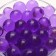 Aquagrunt purple, 10 g, large