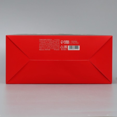 Folding box "with NG", 22 x 30 x 10 cm, new year-5