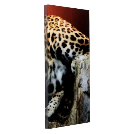 Carty clock is wall-mounted, modular "cheetah", silent, 80 x 140 cm-10