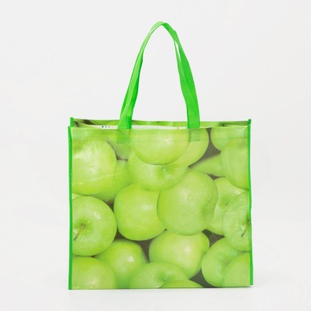 Household bag without lightning, green color-1