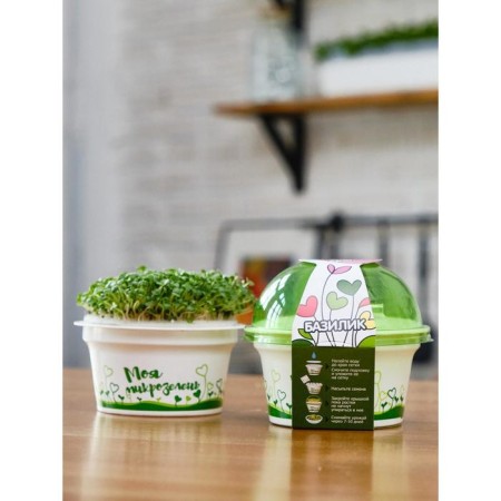 Set for growing "My microwave", basil-4