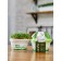 Set for growing "My microwave", basil