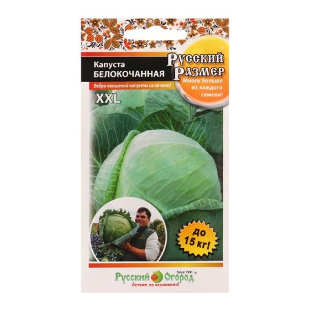 Cabbage seeds white -legged Russian size 50 pcs