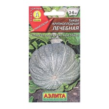 Seeds of pumpkin large -fruited medical ts/n 2g