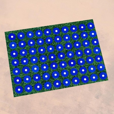 Applicator "Kuznetsova - the most beautiful", 70 spines, film, 23x32 cm, blue-3