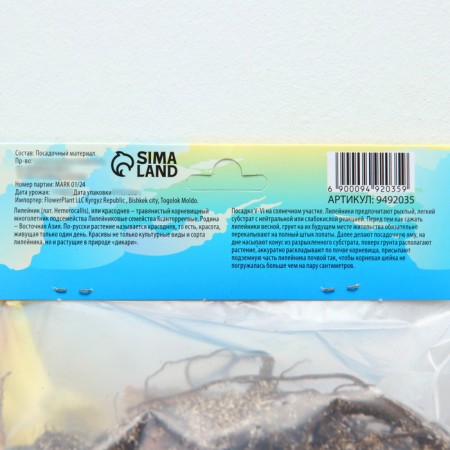 Lilenik "The Bride", rr I, 1 pc, spring 2024-2