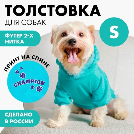 CHAMPION Holstery for dogs (footer), size S (DS 23, Osh 32-34, OG 40-44), Blue-3