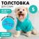 CHAMPION Holstery for dogs (footer), size S (DS 23, Osh 32-34, OG 40-44), Blue