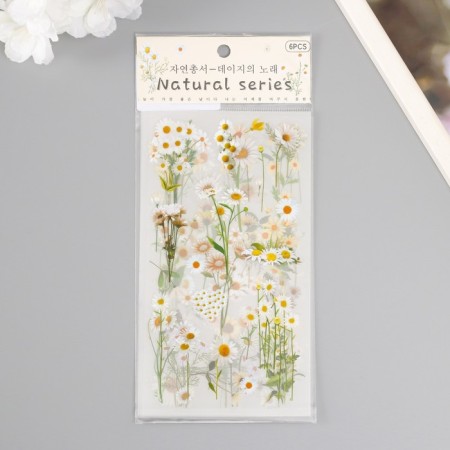 Stickers plastic "chamomile" set of 6 sheets 10x18 cm-5