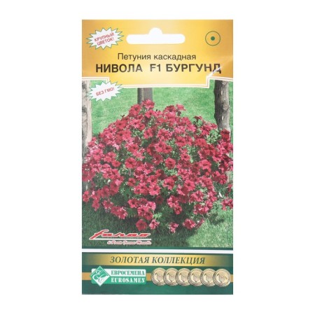Cascaded flowers cascading Nivola Burgund F1, 5 dragees