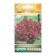 Cascaded flowers cascading Nivola Burgund F1, 5 dragees