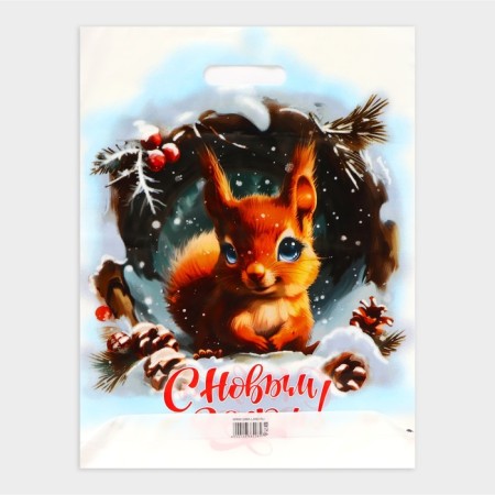 New Year. The package "Squirrel Happy New Year", plastic with a cut pen, 38x47 cm.-1