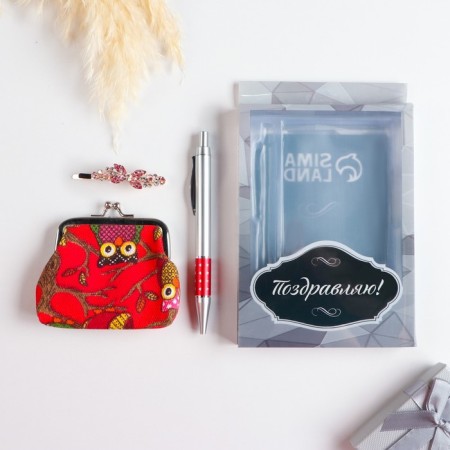 Gift set 3v1 (pen, wallet, hairpin)-1