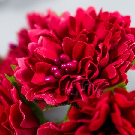 Flowers for decorating "Astra Raspberry" 1 bouquet = 6 colors 10 cm-2