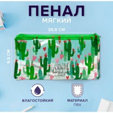 Penal soft 1 compartment, 95 x 205 mm, flat, PVC, calligrata 