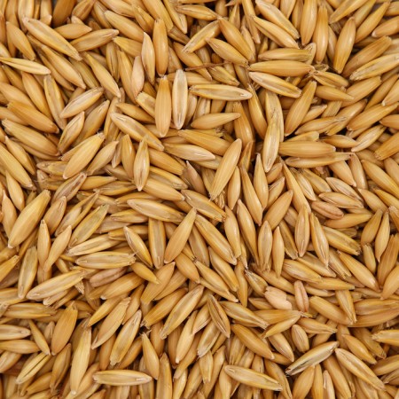 Feed "Pigger" oats, for birds and rodents, 250 g-1