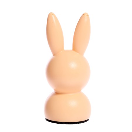 Developing set "Rabbit in the house", 3+-9