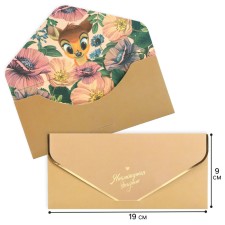The envelope for the money 