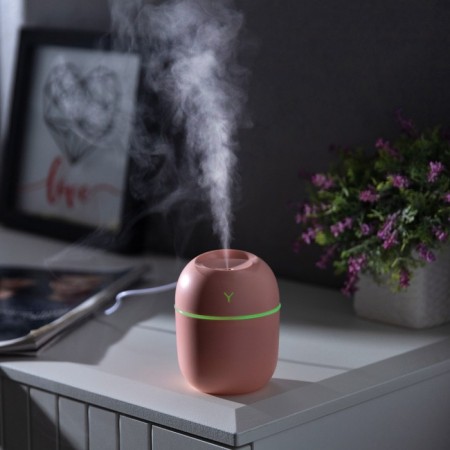 Moisturizer HM-20 ultrasonic, 0.22 l, 1.5 W, USB in comp., Pink
