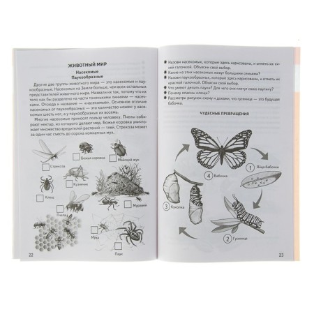 Workbook for children of 5-6 years old “We are getting acquainted with the outside world”, Bortnikova E.-3